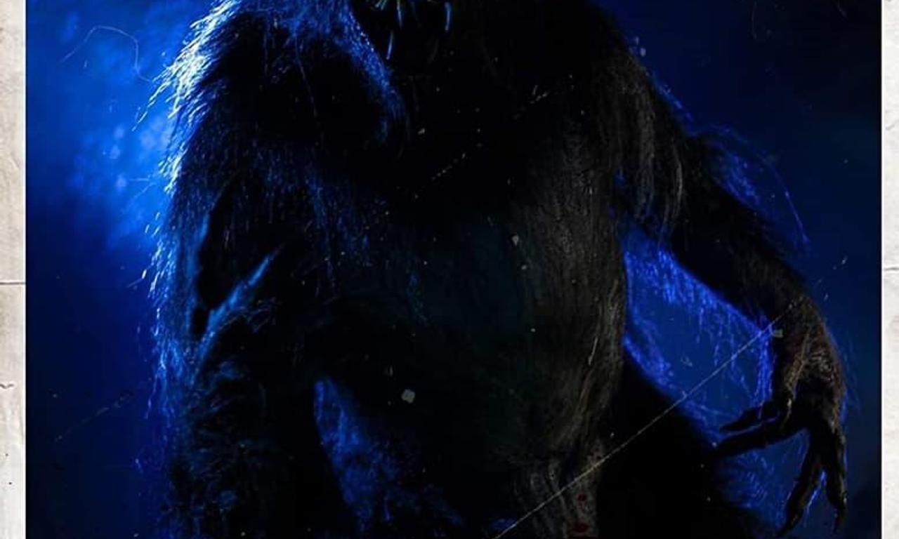 header image for Wolf Hollow