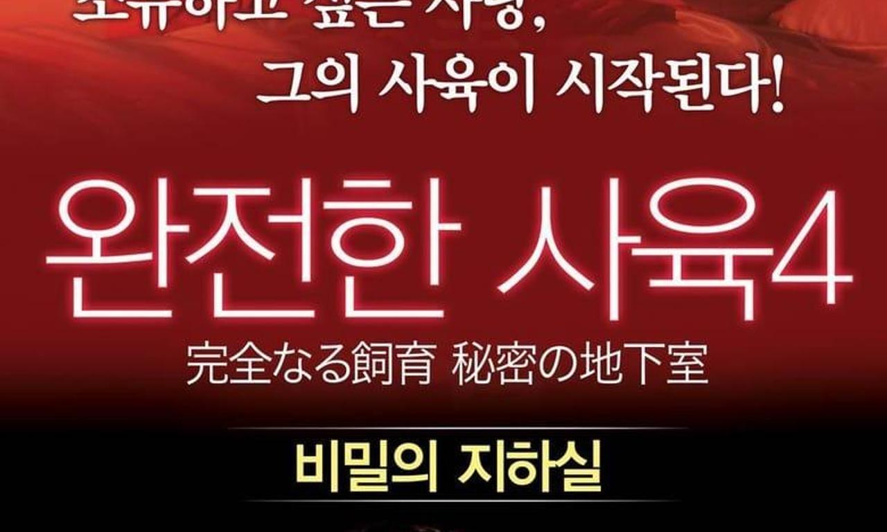 header image for Perfect Education 4: Secret Basement