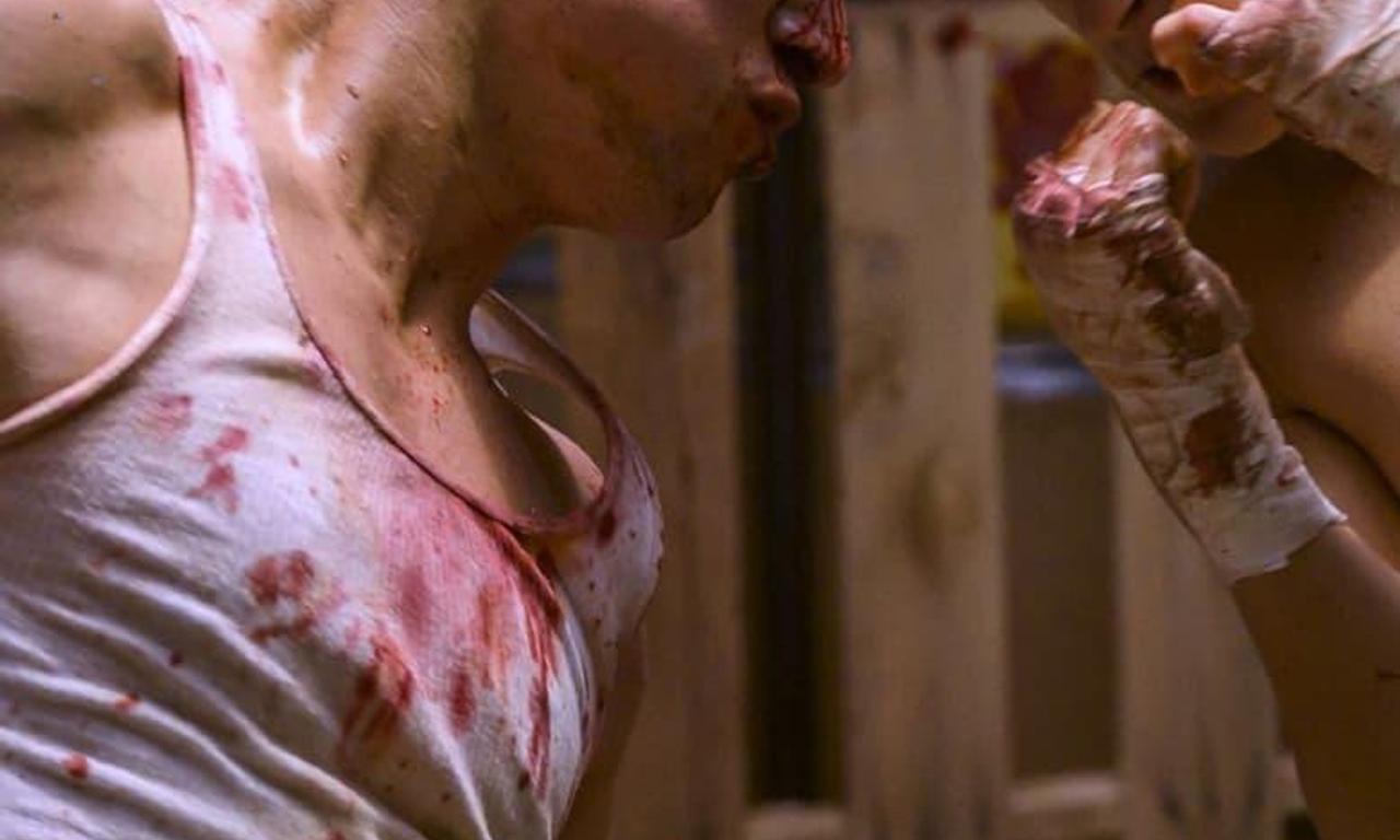 header image for The Fight Machine