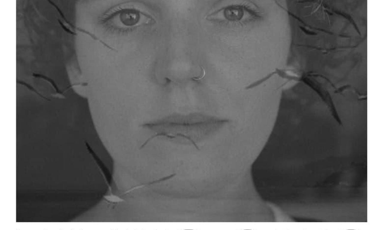 header image for Eating Cars