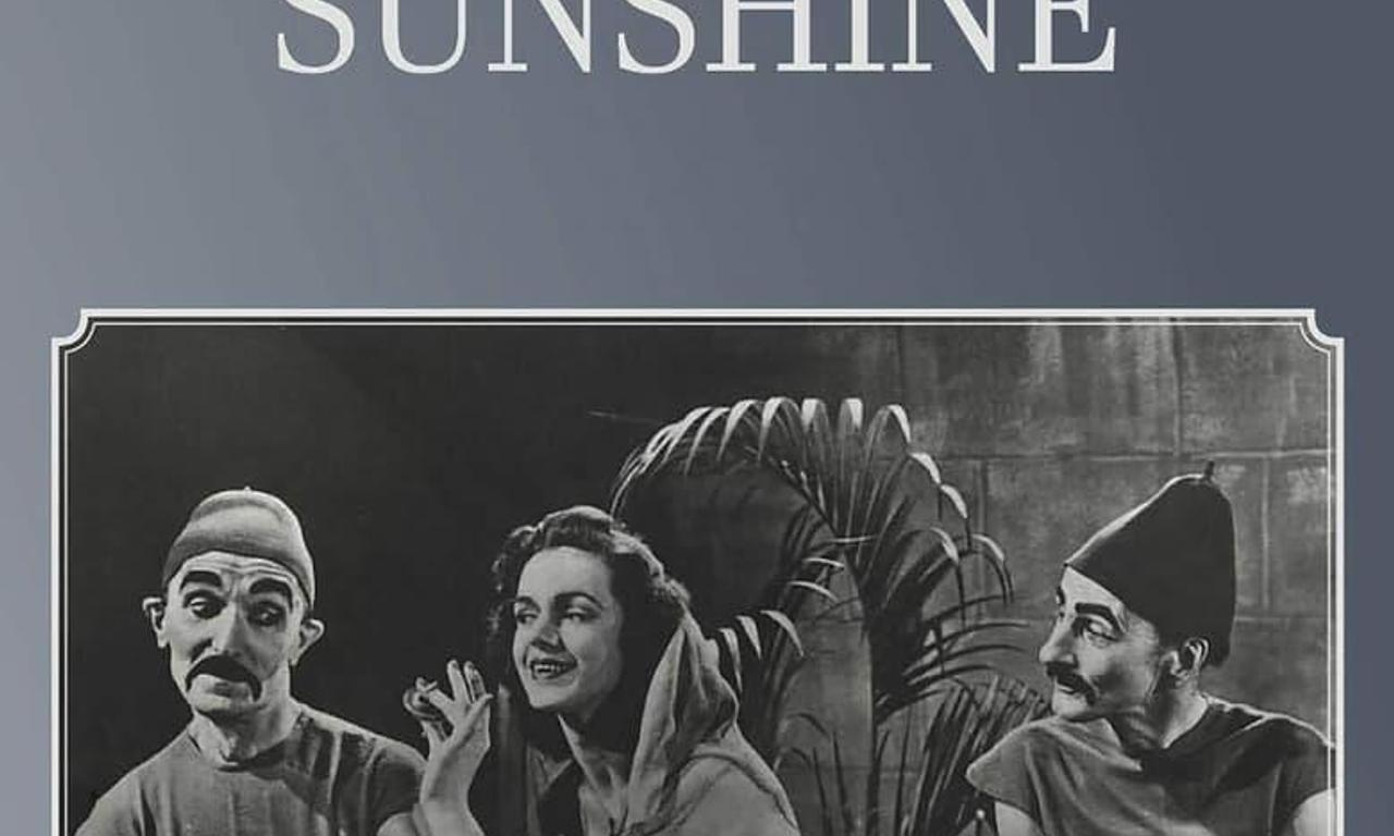 A Ray of Sunshine Where to Watch and Stream Online Entertainment.ie