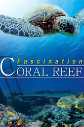 Fascination Coral Reef