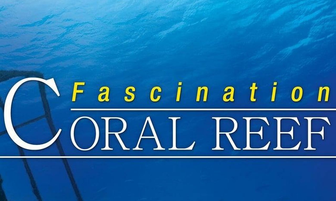 header image for Fascination Coral Reef