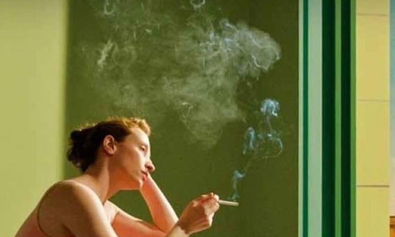 header image for Shirley: Visions of Reality