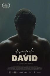 The Perfect David