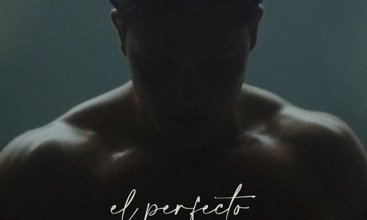 header image for The Perfect David