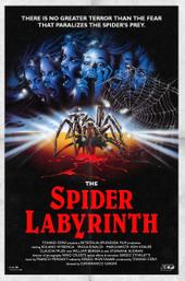 The Spider Labyrinth