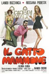 Il gatto mammone