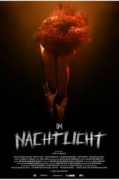 In the Light of the Night