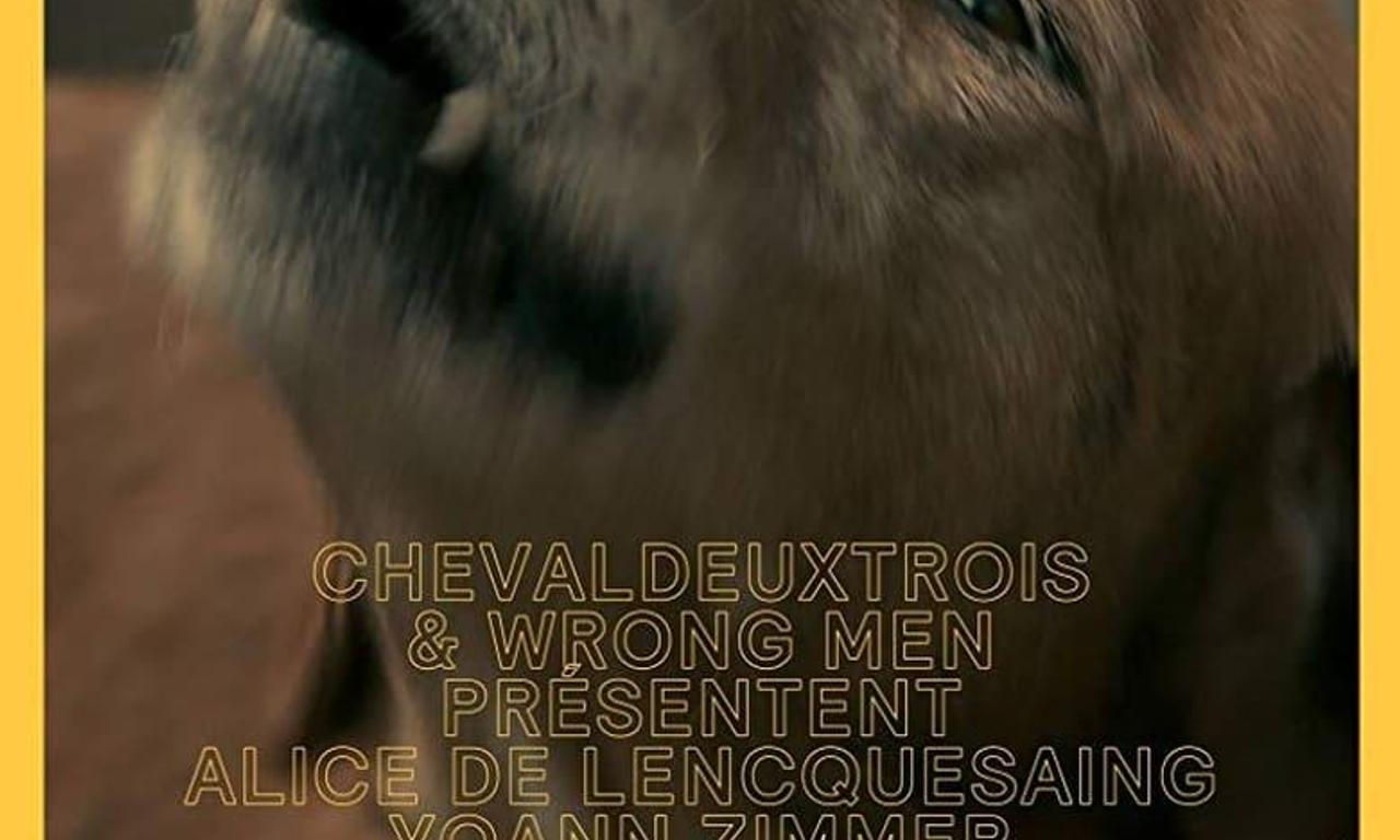 Lâchez les chiens Where to Watch and Stream Online Entertainment.ie