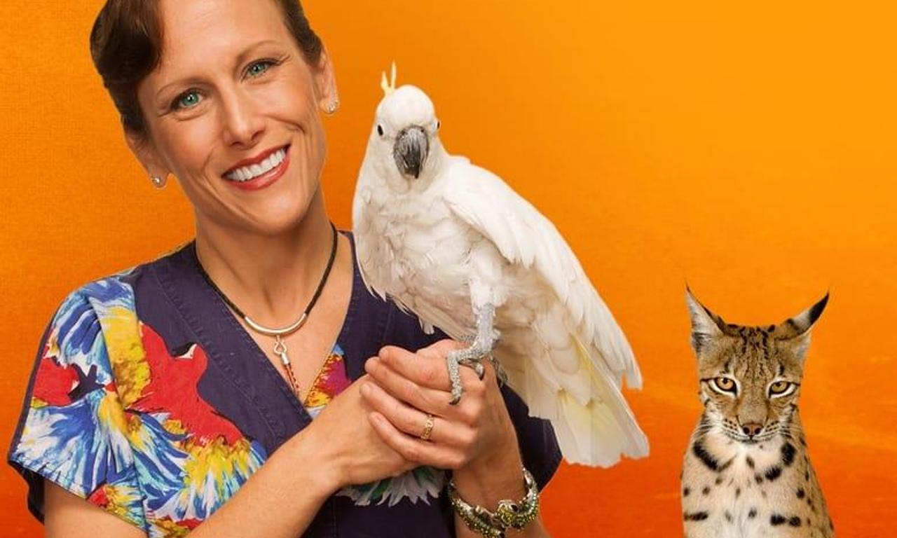 header image for Dr. K's Exotic Animal ER