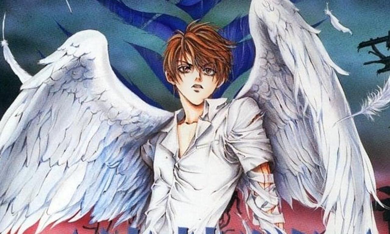 header image for Angel Sanctuary