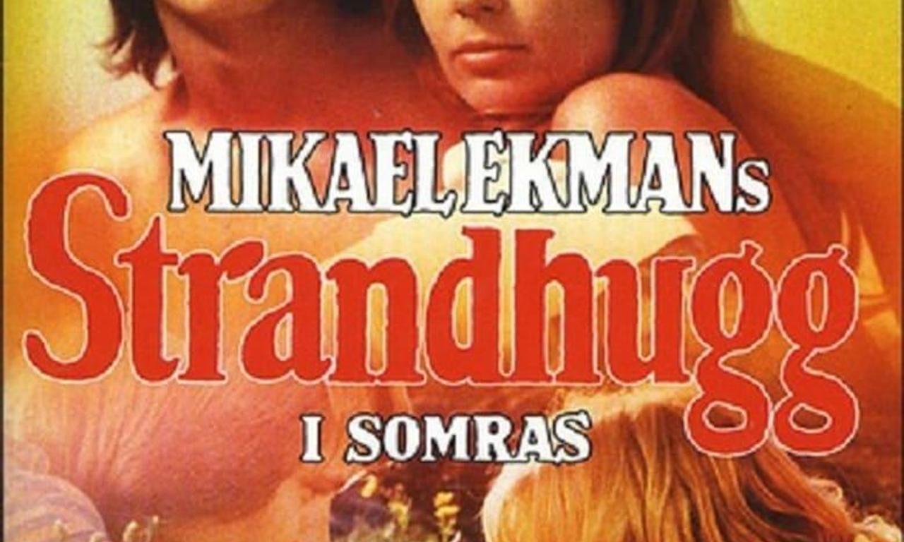 header image for Raid in the Summer