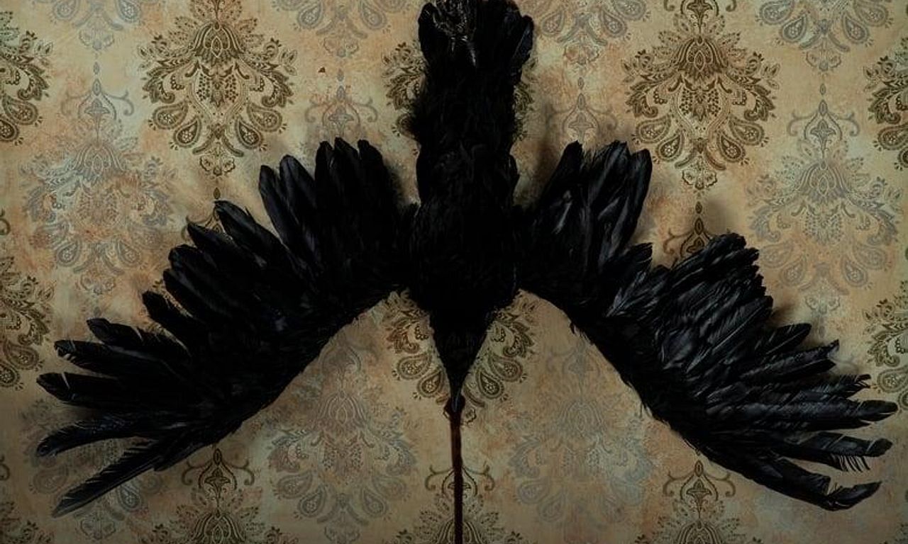 header image for Scare Us