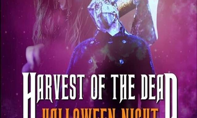 Harvest of the Dead: Halloween Night - Where to Watch and Stream Online – Entertainment.ie