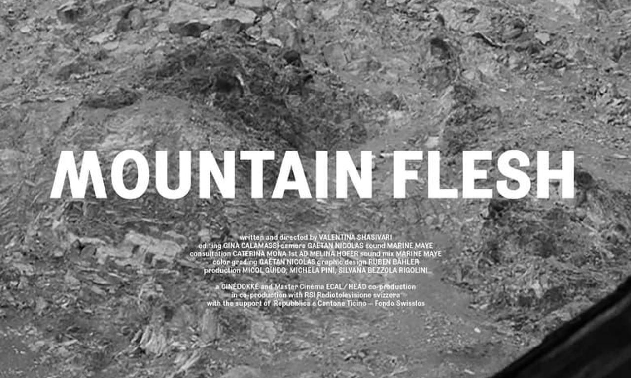 header image for Mountain Flesh