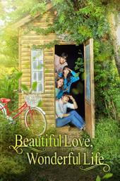 Beautiful Love, Wonderful Life