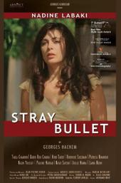Stray Bullet