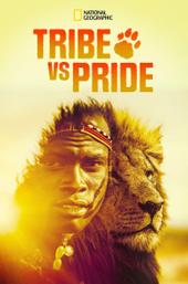 Tribe vs Pride