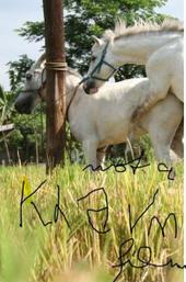 The Muzzled Horse of an Engineer in Search of Mechanical Saddles