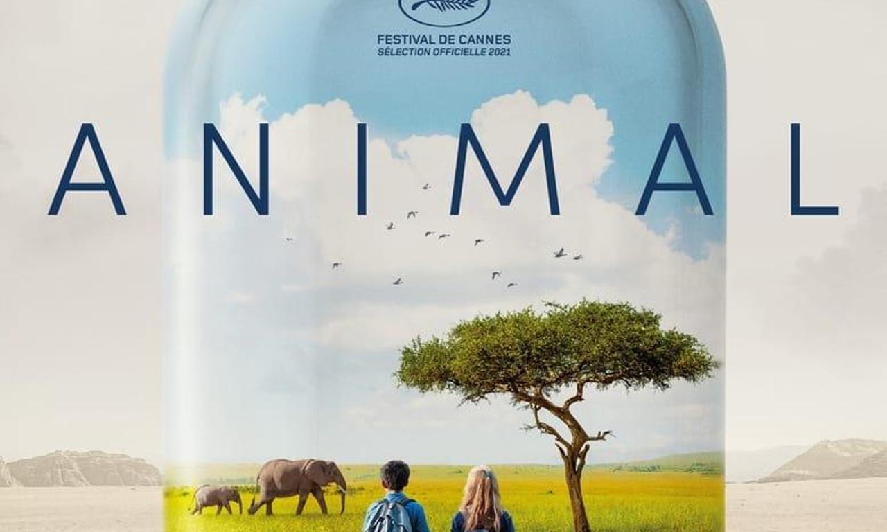 header image for Animal