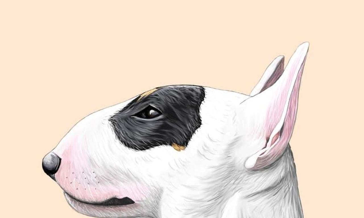 header image for We Don't Deserve Dogs