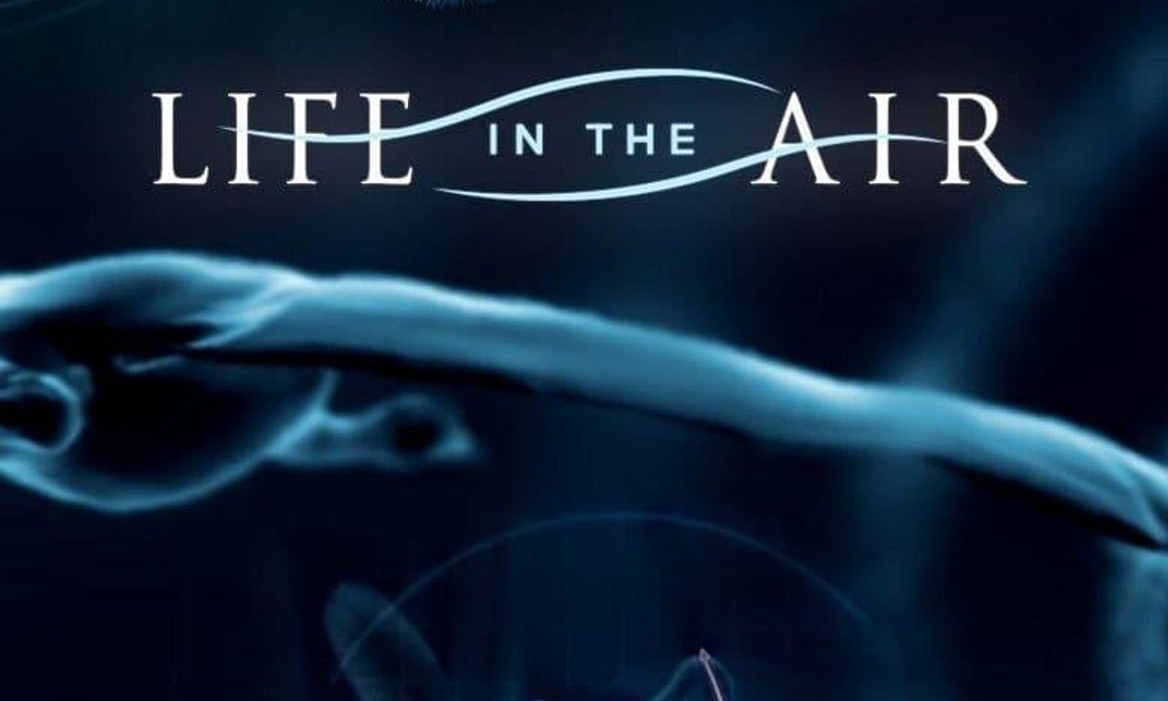 header image for Life in the Air