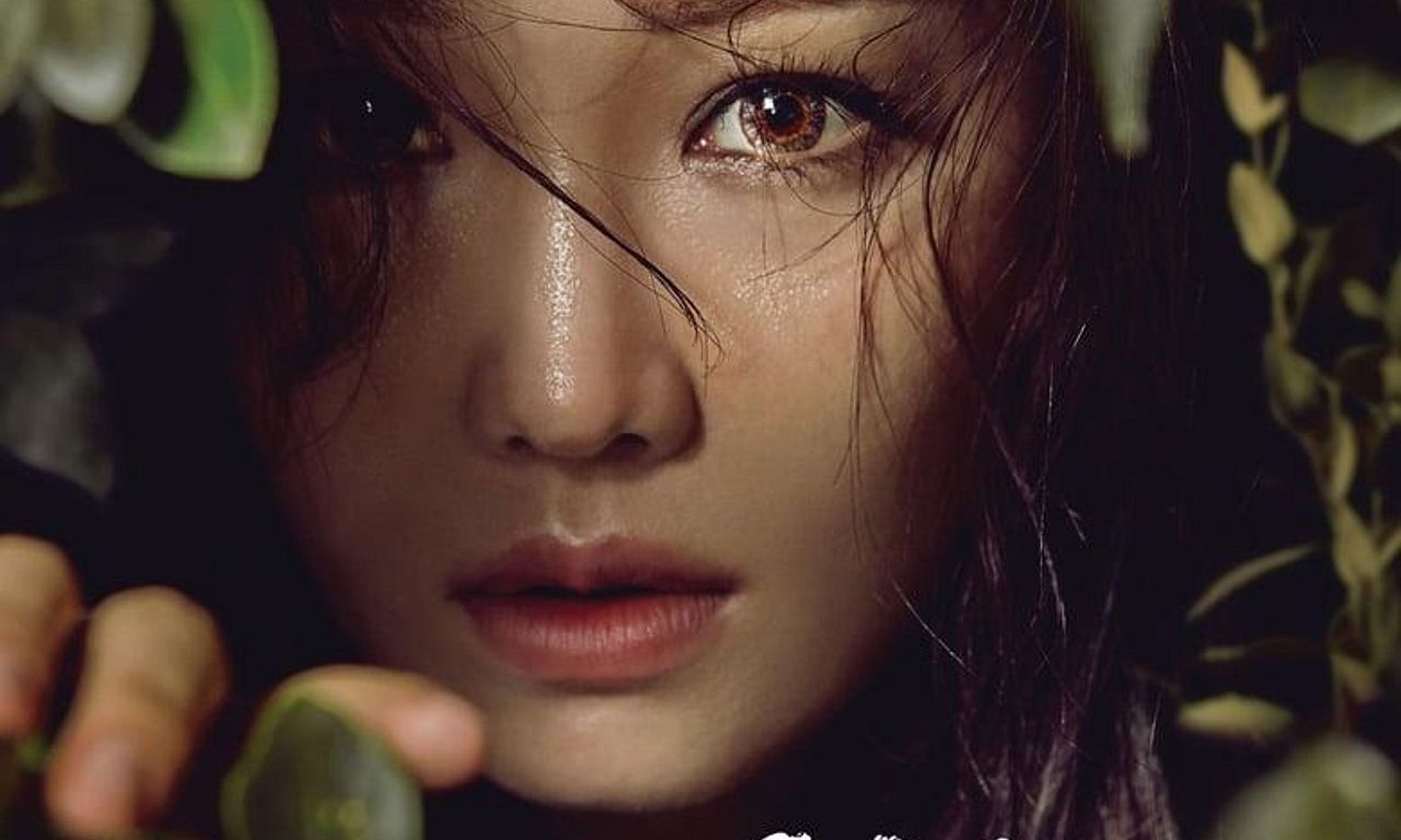 header image for Hide and Seek