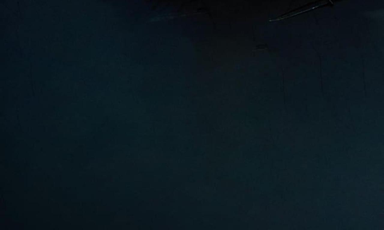 header image for Custom