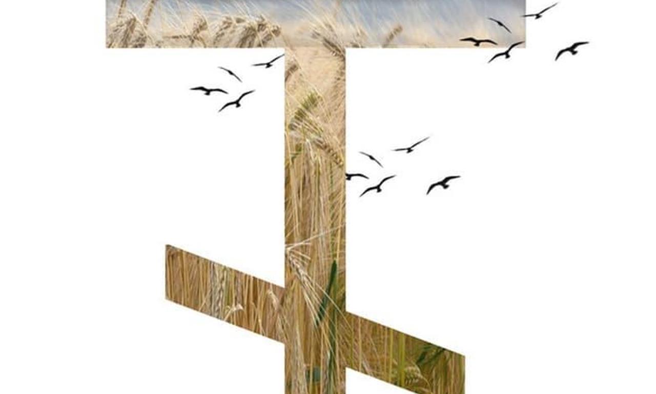 header image for Barley