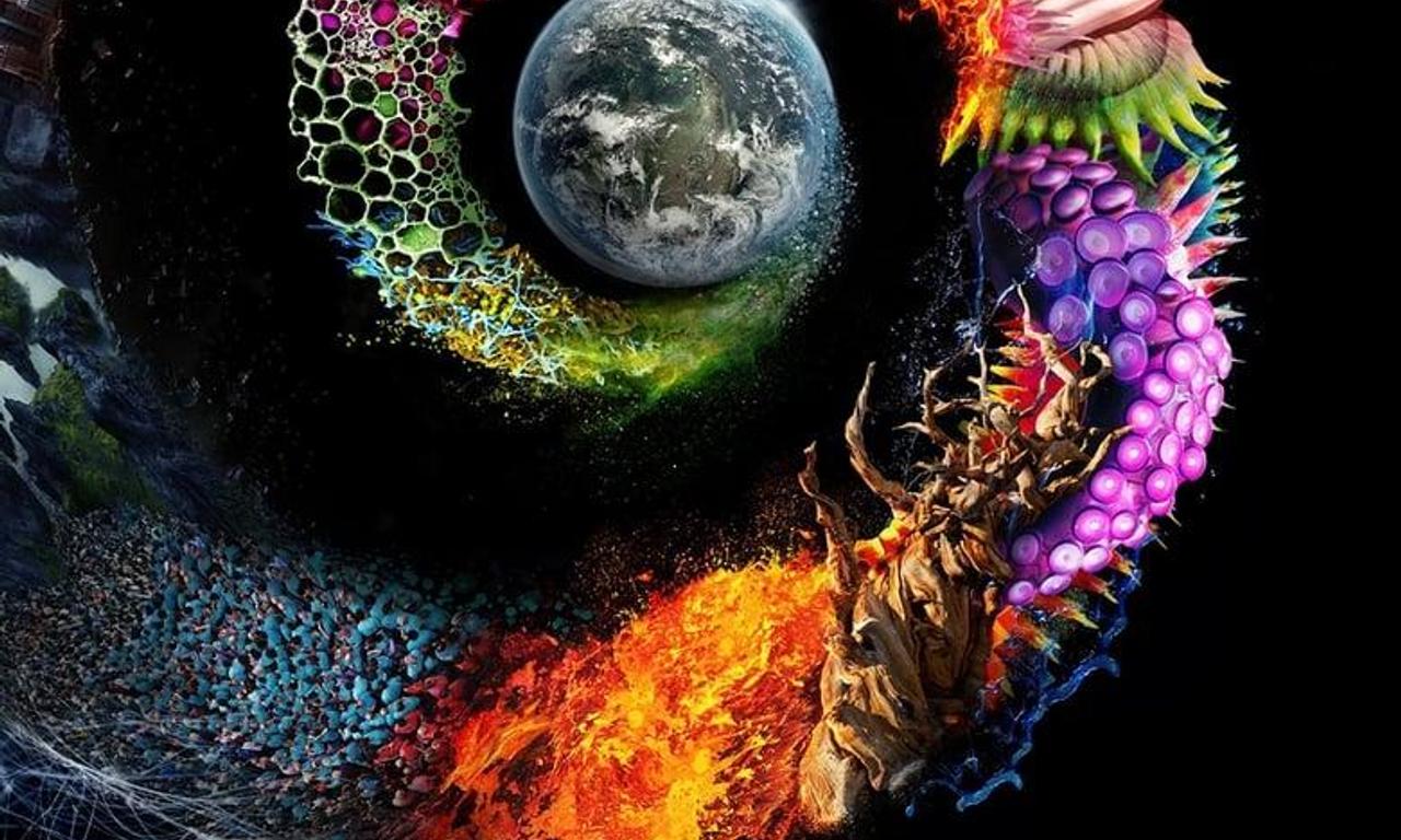 header image for One Strange Rock