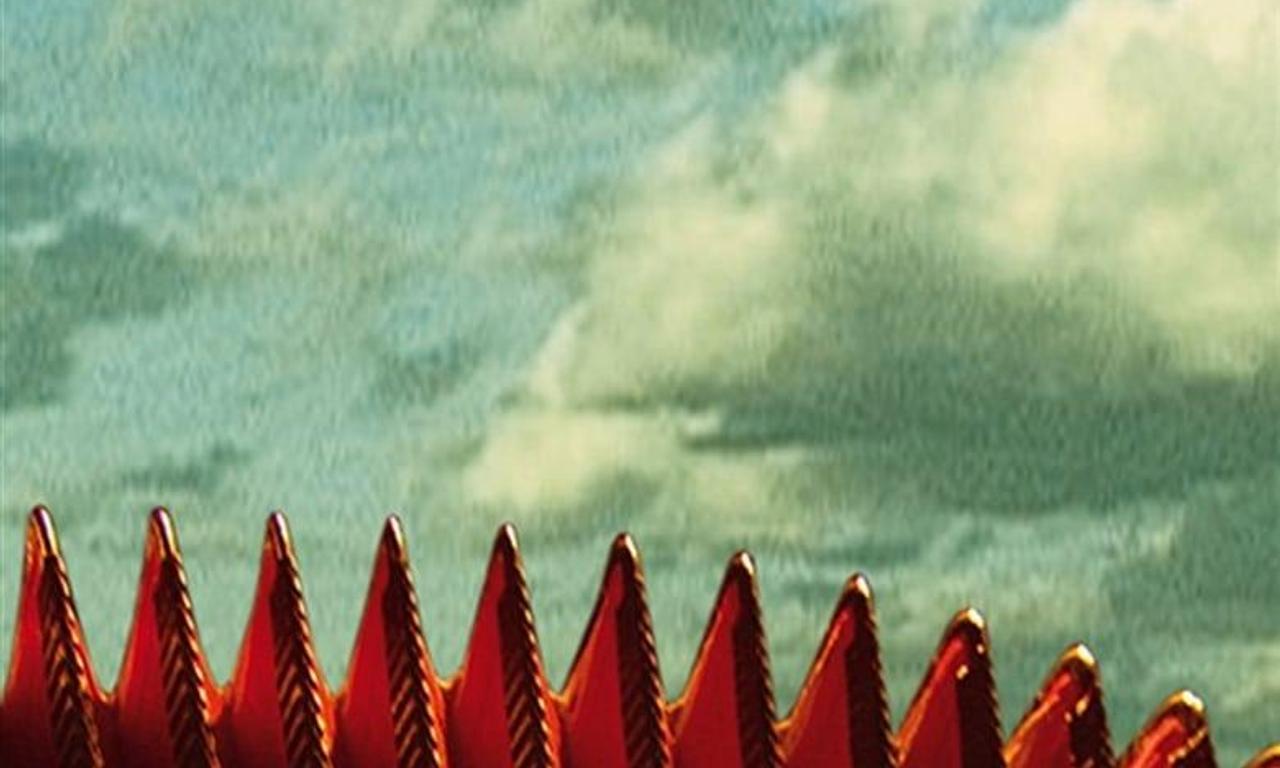 header image for Accordion Tribe: Music Travels