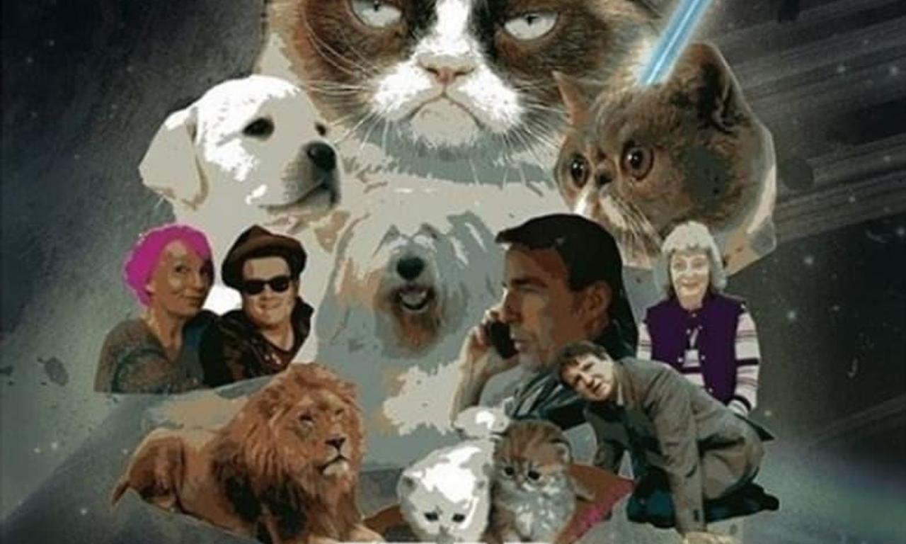 header image for Star Paws: The Rise of Superstar Pets