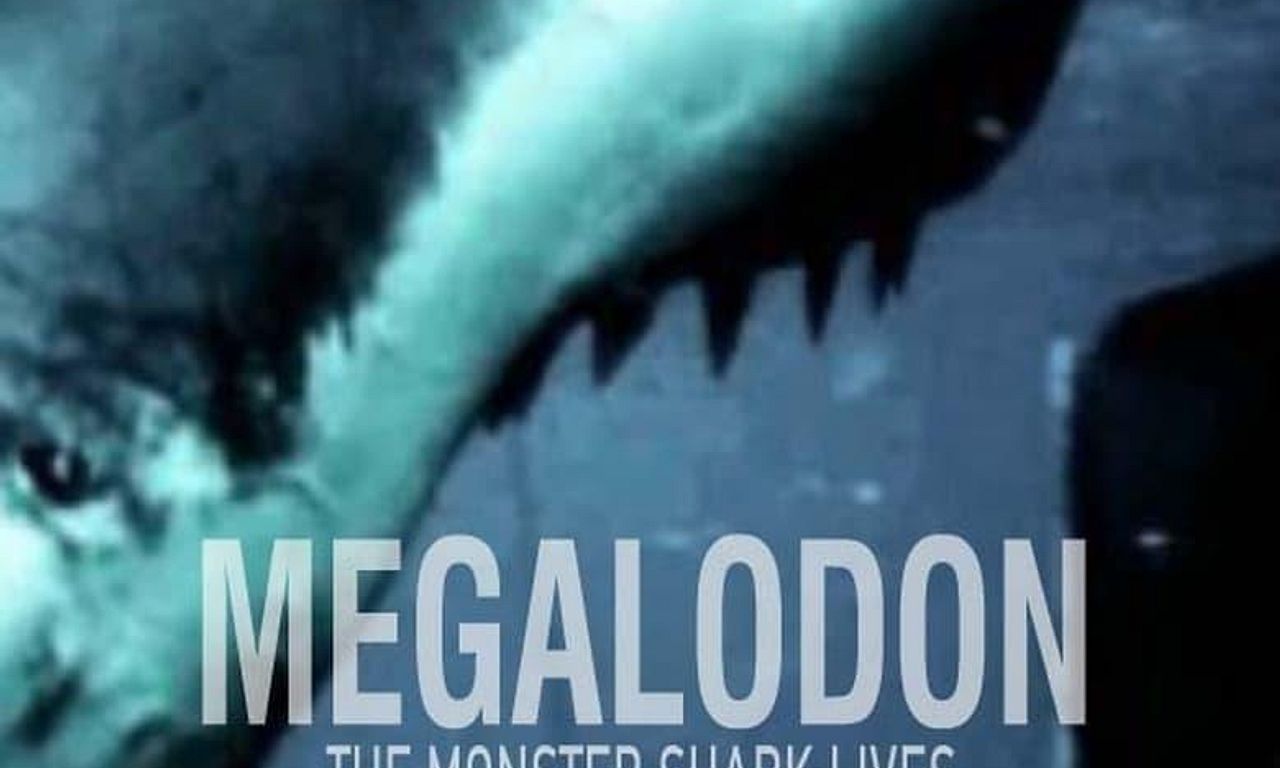Megalodon The Monster Shark Lives Full Documentary Megalodon: The Monster Shark Lives - Where to Watch and Stream Online