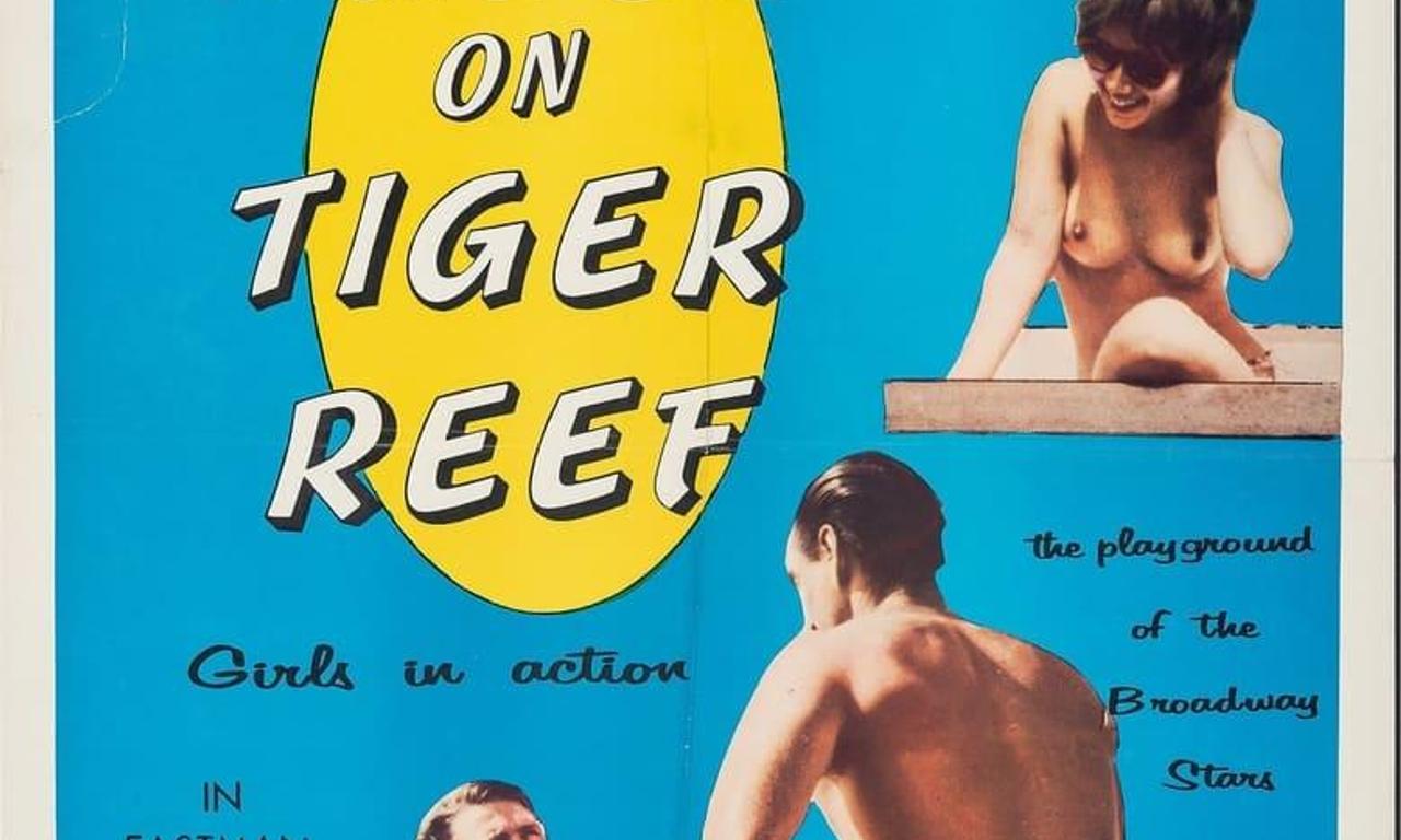 header image for Nudes on Tiger Reef