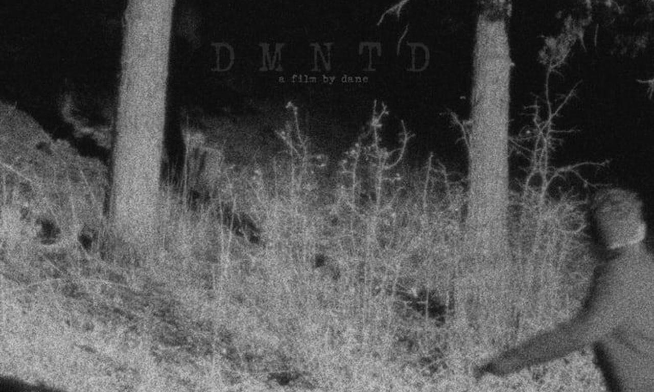 header image for DMNTD