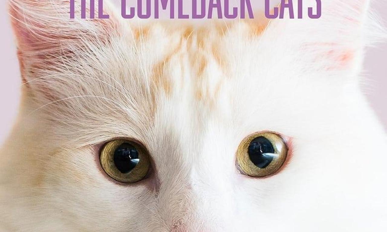 header image for Catwalk 2: The Comeback Cats