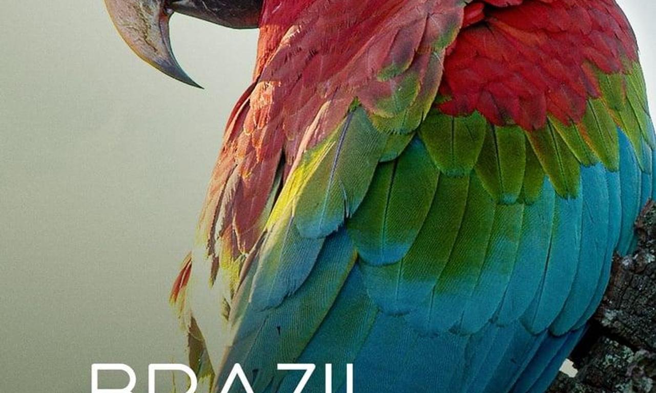 header image for Brazil Untamed