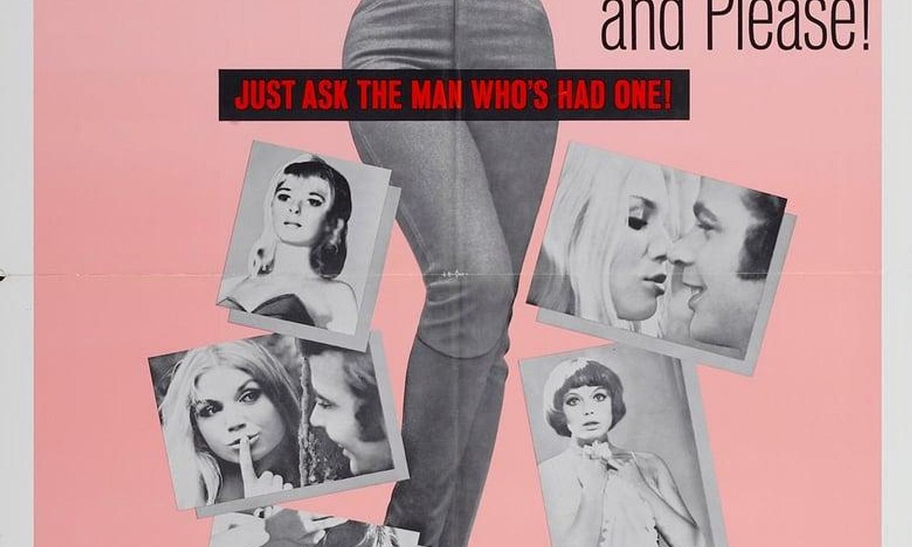 header image for The Swingin' Pussycats