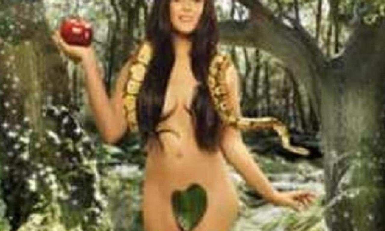 header image for The Sex Education Show