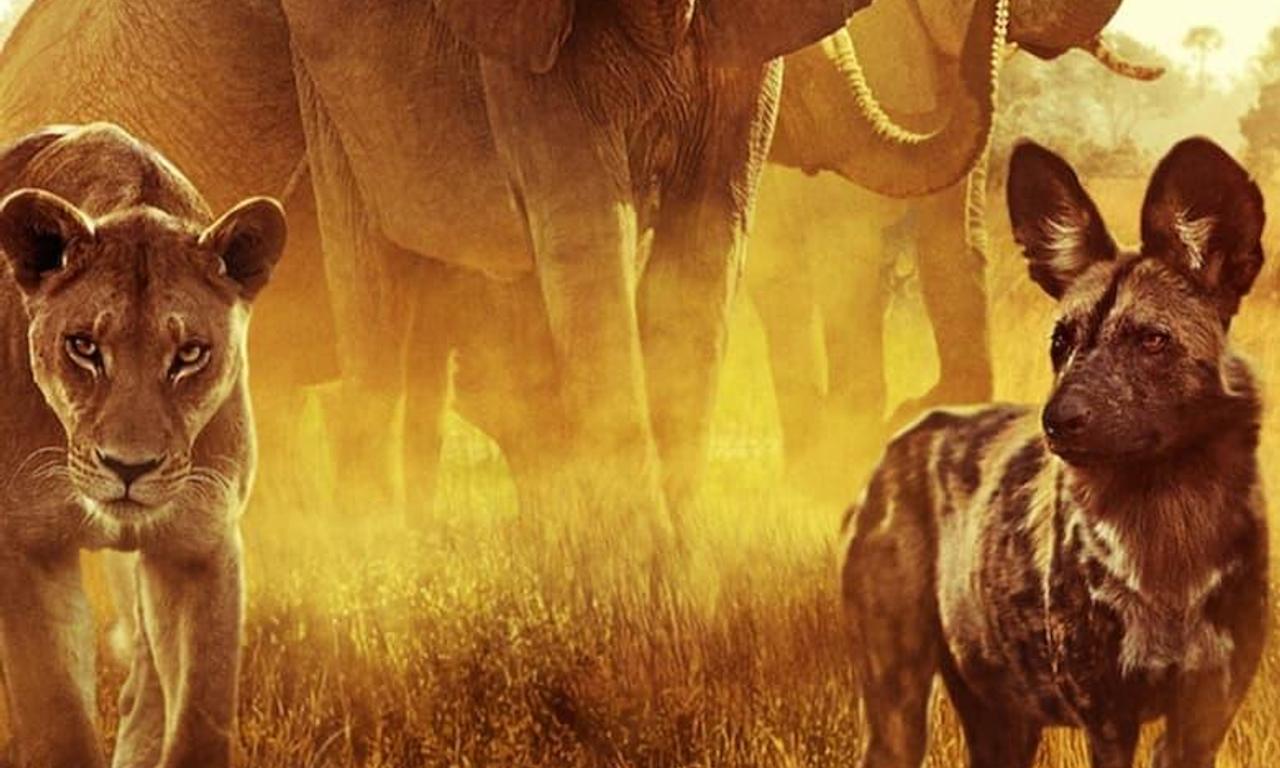 header image for Surviving Paradise: A Family Tale