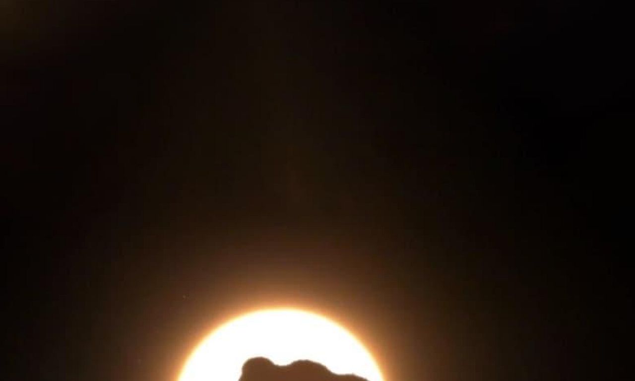 header image for Woolly Mammoth: Secrets From The Ice