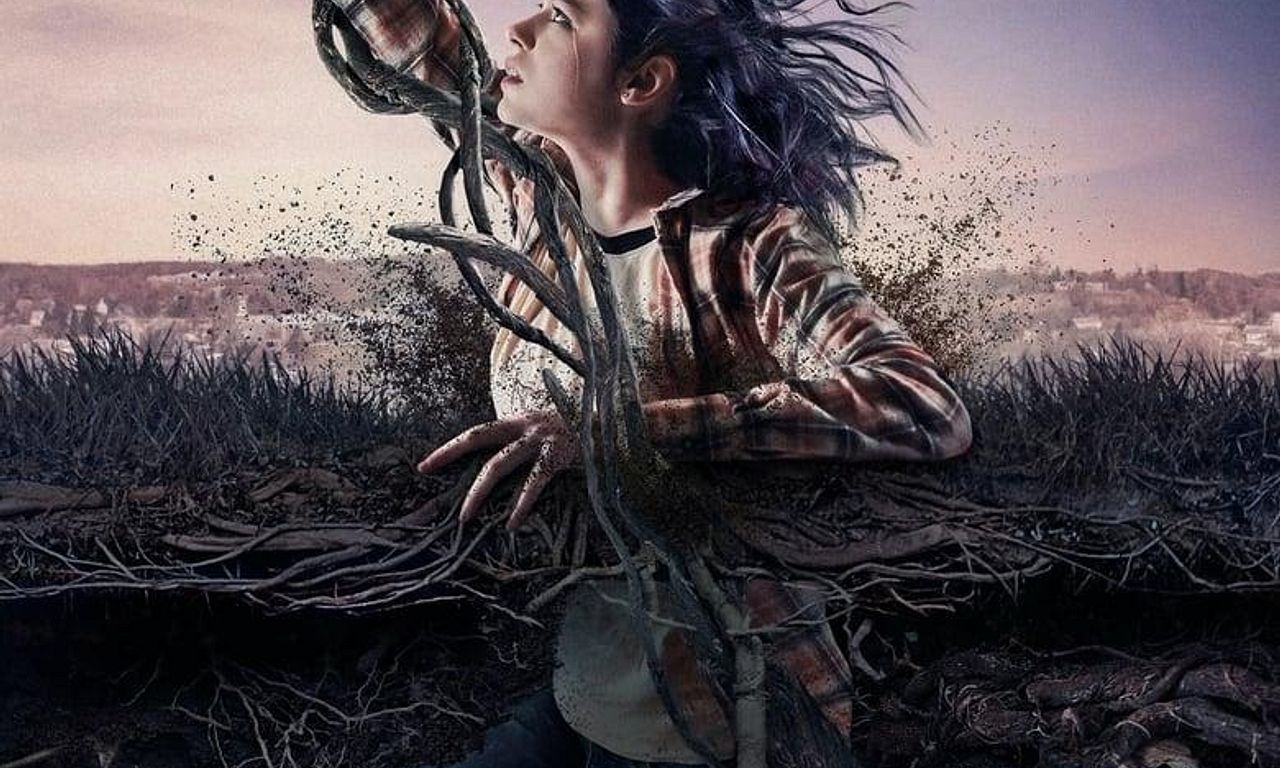 header image for The Birch