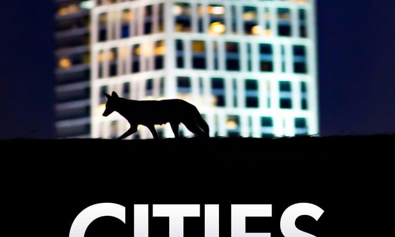 header image for Cities: Nature's New Wild