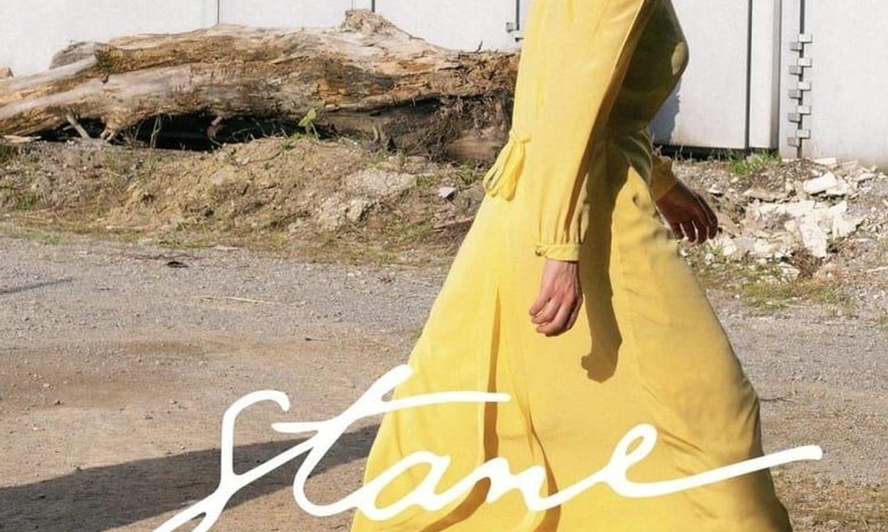 header image for Stane