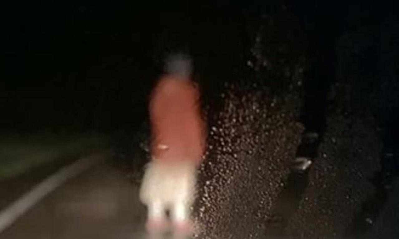 header image for Dashcam