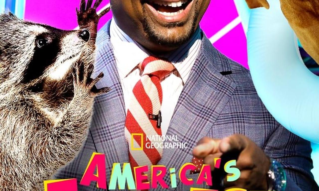 header image for America's Funniest Home Videos: Animal Edition