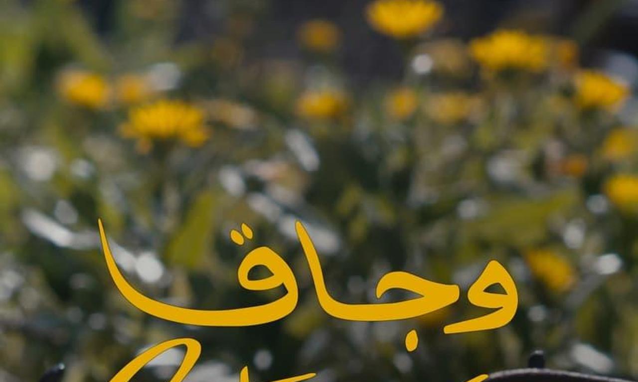header image for Stove