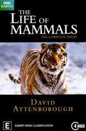 The Life of Mammals