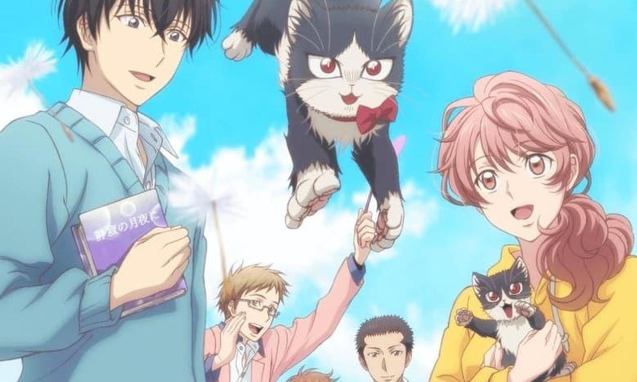 header image for My Roommate is a Cat